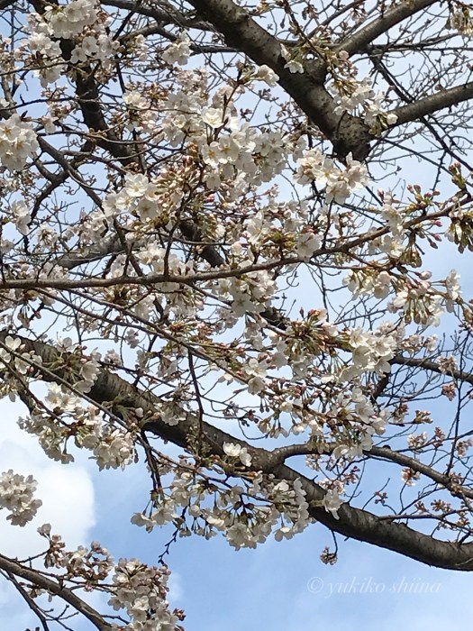 858F23AF-0354-489A-A0D7-930DC30B1510