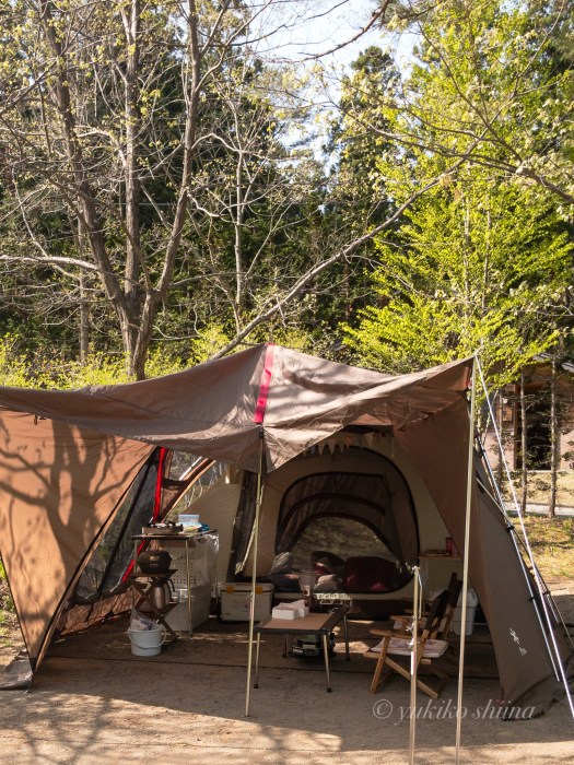 58CCC7ED-6EA5-40BB-95CF-B46529F8BC5B