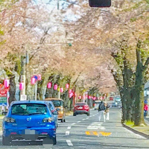 8A1D1173-1AE0-4B6A-9FEA-0EAEC5BDB13E