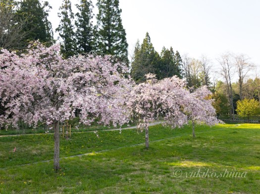 C8ED0F7C-0632-4C8B-B684-E4A76720AFBB