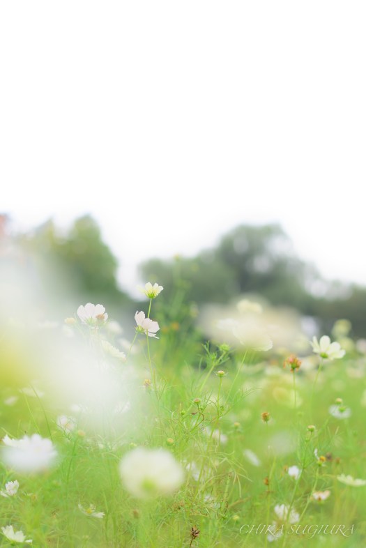 3F52B020-2281-49C3-B7B4-2A34F7A310C2