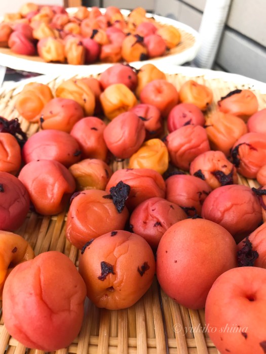 E22C7185-B07C-45B8-8648-37392BE05BEB