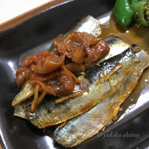 B0899494-5ECF-4DD2-82BB-F68E570FA008