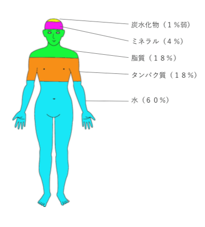スクリーンショット 2018-10-11 16.47.51
