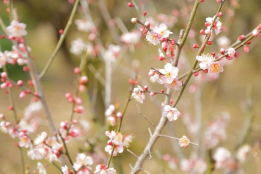 9ee2b7c2a13b6d7807a8d8ea2bde466c_s