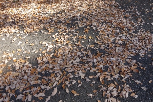 c5d88132e2726a77fb2ec3d198d3ff3e_s